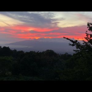 Meet your Posher, Kepa